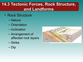 14.3 Tectonic Forces, Rock Structure,
and Landforms
• Rock Structure
– Nature
– Orientation
– Inclination
– Arrangement of
affected rock layers
– Strike
– Dip
 