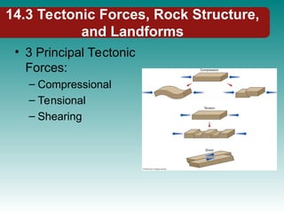 14.3 Tectonic Forces, Rock Structure,
and Landforms
• 3 Principal Tectonic
Forces:
– Compressional
– Tensional
– Shearing
 