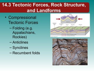 14.3 Tectonic Forces, Rock Structure,
and Landforms
• Compressional
Tectonic Forces
– Folding (e.g.
Appalachians,
Rockies)
– Anticlines
– Synclines
– Recumbent folds
 