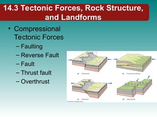 14.3 Tectonic Forces, Rock Structure,
and Landforms
• Compressional
Tectonic Forces
– Faulting
– Reverse Fault
– Fault
– Thrust fault
– Overthrust
 