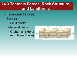14.3 Tectonic Forces, Rock Structure,
and Landforms
• Tensional Tectonic
Forces
– Fault blocks
– Normal faults
– Graben and Horst
(e.g. Great Basin)
 