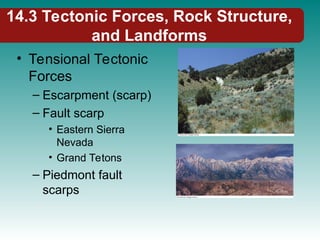 14.3 Tectonic Forces, Rock Structure,
and Landforms
• Tensional Tectonic
Forces
– Escarpment (scarp)
– Fault scarp
• Eastern Sierra
Nevada
• Grand Tetons
– Piedmont fault
scarps
 