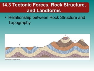 14.3 Tectonic Forces, Rock Structure,
and Landforms
• Relationship between Rock Structure and
Topography
 