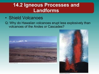14.2 Igneous Processes and Landforms Shield Volcanoes Q: Why do Hawaiian volcanoes erupt less explosively than volcanoes of the Andes or Cascades?  