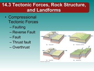 14.3 Tectonic Forces, Rock Structure, and Landforms Compressional Tectonic Forces Faulting Reverse Fault Fault Thrust fault Overthrust 