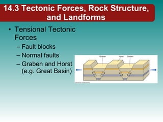 14.3 Tectonic Forces, Rock Structure, and Landforms Tensional Tectonic Forces Fault blocks Normal faults Graben and Horst (e.g. Great Basin) 