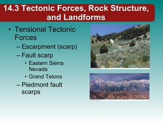 14.3 Tectonic Forces, Rock Structure, and Landforms Tensional Tectonic Forces Escarpment (scarp) Fault scarp Eastern Sierra Nevada Grand Tetons Piedmont fault scarps 