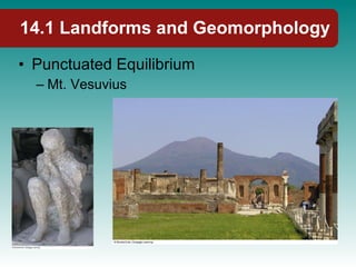 14.1 Landforms and Geomorphology Punctuated Equilibrium Mt. Vesuvius 
