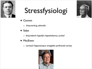 Stressfysiologi 
• Cannon 
- binjuremärg, adrenalin 
• Selye 
- binjurebark–hypofys–hypothalamus, cortisol 
• MacEwen 
- cortisol–hippocampus–amygdala–prefrontal cortex 
 