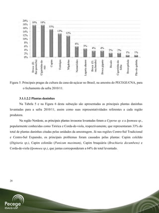 20%
                 18%              18%
         18%
                                                  15%
         16%
         14%                                               13%
                                                                      12%
         12%
         10%
          8%                                                                     6%
          6%                                                                                  5%
                                                                                                                 4%           4%
          4%                                                                                                                                  2%          2%
          2%                                                                                                                                                            1%             1%
          0%




                                                                                 Nematóides
                                                           Formigas
                                                  Cupins




                                                                      Migdolus




                                                                                                                                                                        Broca peluda
                                                                                                                              Broca gigante




                                                                                                                                                                                       Pão-de-galinha
                flavipennella)




                                                                                                               saccharalis)
                                 Cigarrinha-da-




                                                                                                                                                       Cigarrinha-da-
                                                                                              Lagarta elasmo

                                                                                                                Broca (D.




                                                                                                                                              Bicudo
                  Broca (D.




                                                                                                                                                           folha
                                      raiz




Figura 5. Principais pragas da cultura da cana-de-açúcar no Brasil, na amostra do PECEGE/CNA, para
         o fechamento da safra 2010/11.


       3.1.1.2.2 Plantas daninhas
       Na Tabela 5 e na Figura 6 desta subseção são apresentadas as principais plantas daninhas
levantadas para a safra 2010/11, assim como suas representatividades referentes a cada região
produtora.
       Na região Nordeste, as principais plantas invasoras levantadas foram a Cyperus sp. e a Ipomoea sp.,
popularmente conhecidas como Tiririca e Corda-de-viola, respectivamente, que representaram 33% do
total de plantas daninhas citadas pelas unidades da amostragem. Já nas regiões Centro-Sul Tradicional
e Centro-Sul Expansão, os principais problemas foram causados pelas plantas: Capim colchão
(Digitaria sp.), Capim colonião (Panicum maximum), Capim braquiária (Brachiaria decumbens) e
Corda-de-viola (Ipomoea sp.), que juntas corresponderam a 64% do total levantado.




28
 