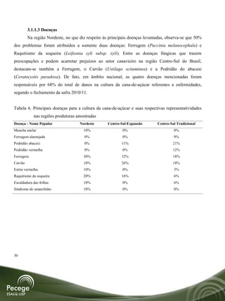 3.1.1.3 Doenças
         Na região Nordeste, no que diz respeito às principais doenças levantadas, observa-se que 50%
dos problemas foram atribuídos a somente duas doenças: Ferrugem (Puccinia melanocephala) e
Raquitismo da soqueira (Leifsonia xyli subsp. xyli). Entre as doenças fúngicas que trazem
preocupações e podem acarretar prejuízos ao setor canavieiro na região Centro-Sul do Brasil,
destacam-se também a Ferrugem, o Carvão (Ustilago scitaminea) e a Podridão do abacaxi
(Ceratocystis paradoxa). De fato, em âmbito nacional, as quatro doenças mencionadas foram
responsáveis por 68% do total de danos na cultura da cana-de-açúcar referentes a enfermidades,
segundo o fechamento da safra 2010/11.


Tabela 6. Principais doenças para a cultura da cana-de-açúcar e suas respectivas representatividades
            nas regiões produtoras amostradas
Doença - Nome Popular               Nordeste       Centro-Sul Expansão       Centro-Sul Tradicional
Mancha anelar                         10%                  0%                         0%
Ferrugem alaranjada                    0%                  0%                         9%
Podridão abacaxi                       0%                 11%                        21%
Podridão vermelha                      0%                  0%                        12%
Ferrugem                              30%                 32%                        18%
Carvão                                10%                 26%                        18%
Estria vermelha                       10%                  0%                         3%
Raquitismo da soqueira                20%                 16%                         6%
Escaldadura das folhas                10%                  0%                         6%
Síndrome do amarelinho                10%                  0%                         0%




30
 