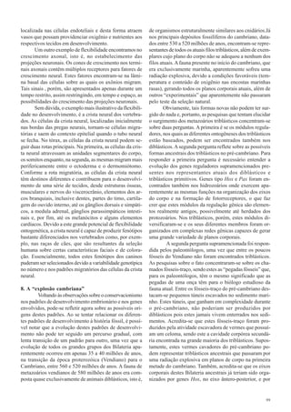 localizada nas células endoteliais e desta forma atraem        de organismos estruturalmente similares aos cnidários.Já
vasos que possam providenciar oxigênio e nutrientes aos        nos principais depósitos fossilíferos do cambriano, data-
respectivos tecidos em desenvolvimento.                        dos entre 530 a 520 milhões de anos, encontram-se repre-
       Um outro exemplo de flexibilidade encontramos no        sentantes de todos os atuais filos triblásticos, além de exem-
crescimento axonal, isto é, no estabelecimento das             plares cujo plano do corpo não se adequou a nenhum dos
projeções neuronais. Os cones de crescimento nos termi-        filos atuais. A fauna presente no início do cambriano, que
nais axonais contêm múltiplos receptores para fatores de       era exclusivamente marinha, aparentemente sofreu uma
crescimento neural. Estes fatores encontram-se na lâmi-        radiação explosiva, devido a condições favoráveis (tem-
na basal das células sobre as quais os axônios migram.         peratura e conteúdo de oxigênio nas encostas marinhas
Tais sinais , porém, são apresentados apenas durante um        rasas), gerando todos os planos corporais atuais, além de
tempo restrito, assim restringindo, em tempo e espaço, as      outros “experimentais” que aparentemente não passaram
possibilidades do crescimento das projeções neuronais.         pelo teste da seleção natural.
       Sem dúvida, o exemplo mais ilustrativo da flexibili-            Obviamente, tais formas novas não podem ter sur-
dade no desenvolvimento, é a crista neural dos vertebra-       gido do nada e, portanto, as pesquisas que tentam elucidar
dos. As células da crista neural, localizadas inicialmente     o surgimento dos metazoários triblásticos concentram-se
nas bordas das pregas neurais, tornam-se células migra-        sobre duas perguntas. A primeira é se os módulos regula-
tórias e saem do contexto epitelial quando o tubo neural       dores, nos quais as diferentes ontogêneses dos triblásticos
se fecha. No tórax, as células da crista neural podem se-      estão baseados, podem ser encontrados também nos
guir duas rotas principais. Na primeira, as células da cris-   diblásticos. A segunda pergunta reflete sobre as possíveis
ta neural atravessam as unidades segmentares do corpo,         formas ancestrais dos triblásticos no pré-cambriano. Para
os somitos enquanto, na segunda, as mesmas migram mais         responder a primeira pergunta é necessário entender a
perifericamente entre o ectoderma e o dermomiótomo.            evolução dos genes reguladores supramencionados pre-
Conforme a rota migratória, as células da crista neural        sentes nos representantes atuais dos diblásticos e
têm destinos diferentes e contribuem para o desenvolvi-        triblásticos primitivos. Genes tipo Hox e Pax foram en-
mento de uma série de tecidos, desde estruturas ósseas,        contrados também nos hidrozoários onde exercem apa-
musculares e nervos do viscerocrânio, elementos dos ar-        rentemente as mesmas funções na organização dos eixos
cos branquiais, inclusive dentes, partes do timo, cartila-     do corpo e na formação de fotorreceptores, o que faz
gem do ouvido interno, até os gânglios dorsais e simpáti-      crer que estes módulos da regulação gênica são elemen-
cos, a medula adrenal, gânglios parassimpáticos intesti-       tos realmente antigos, possivelmente até herdados dos
nais e, por fim, até os melanócitos e alguns elementos         protozoários. Nos triblásticos, porém, estes módulos di-
cardíacos. Devido a este grande potencial de flexibilidade     versificaram-se e os seus diferentes membros foram or-
ontogenética, a crista neural é capaz de produzir fenótipos    ganizados em complexas redes gênicas capazes de gerar
bastante diferenciados nos vertebrados como, por exem-         uma grande variedade de planos corporais.
plo, nas raças de cães, que são resultantes da seleção                  A segunda pergunta supramencionada foi respon-
humana sobre certas características faciais e de colora-       dida pelos paleontólogos, uma vez que entre os poucos
ção. Essencialmente, todos estes fenótipos dos caninos         fósseis do Vendiano não foram encontrados triblásticos.
puderam ser selecionados devido a variabilidade genotípica     As pesquisas sobre o fato concentraram-se sobre os cha-
no número e nos padrões migratórios das células da crista      mados fósseis-traço, sendo estes as “pegadas fósseis” que,
neural.                                                        para os paleontólogos, têm o mesmo significado que as
                                                               pegadas de uma onça têm para o biólogo estudioso da
8. A “explosão cambriana”                                      fauna atual. Entre os fósseis-traço do pré-cambriano des-
         Voltando às observações sobre o conservacionismo      tacam-se pequenos túneis escavados no sedimento mari-
nos padrões de desenvolvimento embrionário e nos genes         nho. Estes túneis, que ganham em complexidade durante
envolvidos, pode-se refletir agora sobre as possíveis ori-     o pré-cambriano, não poderiam ser produzidos por
gens destes padrões. Ao se tentar relacionar os diferen-       diblásticos pois estes jamais vivem enterrados nos sedi-
tes padrões de desenvolvimento à história fóssil, é possí-     mentos. Acredita-se que estes fósseis-traço foram pro-
vel notar que a evolução destes padrões de desenvolvi-         duzidos pela atividade escavadora de vermes que possuí-
mento não pode ter seguido um percurso gradual, com            am um celoma, sendo este a cavidade corpórea secundá-
lenta transição de um padrão para outro, uma vez que a         ria encontrada na grande maioria dos triblásticos. Supos-
evolução de todos os grandes grupos dos Bilateria apa-         tamente, estes vermes cavadores do pré-cambriano po-
rentemente ocorreu em apenas 35 a 40 milhões de anos,          dem representar triblásticos ancestrais que passaram por
na transição da época proterozóica (Vendiano) para o           uma radiação explosiva em planos de corpo na primeira
Cambriano, entre 560 e 520 milhões de anos. A fauna de         metade do cambriano. Também, acredita-se que os eixos
metazoários vendianos de 580 milhões de anos era com-          corporais destes Bilateria ancestrais já teriam sido orga-
posta quase exclusivamente de animais diblásticos, isto é,     nizados por genes Hox, no eixo ântero-posterior, e por


                                                                                                                          99
 