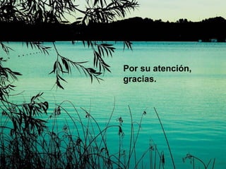 Por su atención, gracias. 