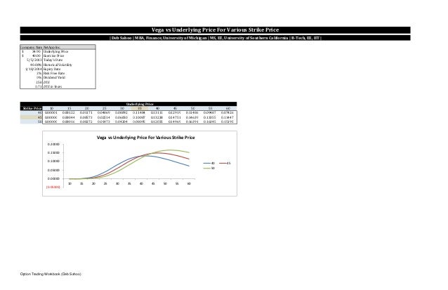 Option trading workbook