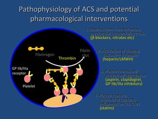 4. Plaque rupture,4. Plaque rupture,
cholesterol content,cholesterol content,
inflammation (hs-CRP)inflammation (hs-CRP)
(statins)(statins)
3. Platelet adhesion/3. Platelet adhesion/
activation/aggregationactivation/aggregation
(aspirin, clopidogrel,(aspirin, clopidogrel,
GP IIb/IIIa inhibitors)GP IIb/IIIa inhibitors)
2. Activation of clotting2. Activation of clotting
cascade – thrombincascade – thrombin
(heparin/LMWH)(heparin/LMWH)
1. Downstream from thrombus1. Downstream from thrombus
myocardial ischaemia/necrosismyocardial ischaemia/necrosis
((ββ-blockers, nitrates etc)-blockers, nitrates etc)
PlateletPlatelet
GP IIb/IIIaGP IIb/IIIa
receptorreceptor
FibrinogenFibrinogen
ThrombinThrombin
FibrinFibrin
clotclot
Pathophysiology of ACS and potentialPathophysiology of ACS and potential
pharmacological interventionspharmacological interventions
 