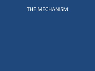 THE MECHANISM
 