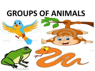 GROUPS OF ANIMALS
 