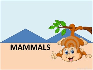 MAMMALS
 