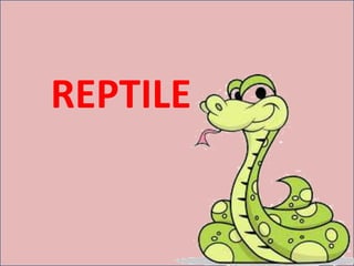 REPTILE
 