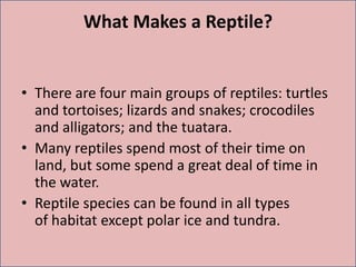 What Makes a Reptile?
• There are four main groups of reptiles: turtles
and tortoises; lizards and snakes; crocodiles
and alligators; and the tuatara.
• Many reptiles spend most of their time on
land, but some spend a great deal of time in
the water.
• Reptile species can be found in all types
of habitat except polar ice and tundra.
 