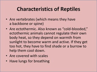 Characteristics of Reptiles
• Are vertebrates (which means they have
a backbone or spine)
• Are ectothermic. Also known as “cold-blooded,”
ectothermic animals cannot regulate their own
body heat, so they depend on warmth from
sunlight to become warm and active. If they get
too hot, they have to find shade or a burrow to
help them cool down.
• Are covered with scales
• Have lungs for breathing
 