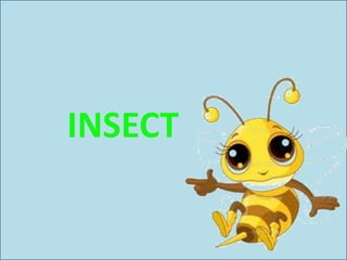 INSECT
 
