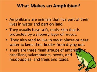 What Makes an Amphibian?
• Amphibians are animals that live part of their
lives in water and part on land.
• They usually have soft, moist skin that is
protected by a slippery layer of mucus.
• They also tend to live in moist places or near
water to keep their bodies from drying out.
• There are three main groups of amphibians:
caecilians; salamanders, newts, and
mudpuppies; and frogs and toads.
 
