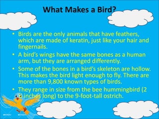 What Makes a Bird?
• Birds are the only animals that have feathers,
which are made of keratin, just like your hair and
fingernails.
• A bird’s wings have the same bones as a human
arm, but they are arranged differently.
• Some of the bones in a bird’s skeleton are hollow.
This makes the bird light enough to fly. There are
more than 9,800 known types of birds.
• They range in size from the bee hummingbird (2
¼ inches long) to the 9-foot-tall ostrich.
 