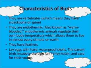 Characteristics of Birds
• They are vertebrates (which means they have
a backbone or spine)
• They are endothermic. Also known as “warm-
blooded,” endothermic animals regulate their
own body temperature which allows them to live
in almost every climate on earth.
• They have feathers
• Lay eggs with hard, waterproof shells. The parent
birds incubate the eggs until they hatch, and care
for their young.
 