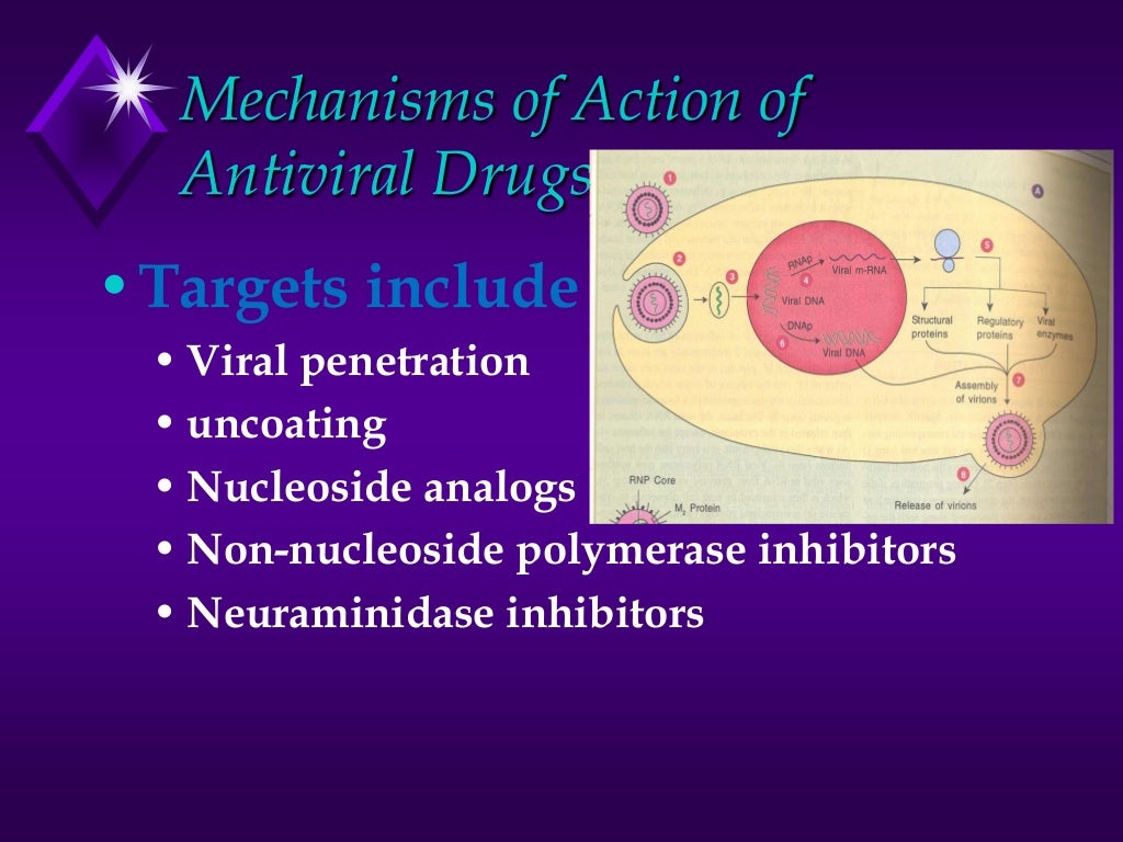 14. antiviral drugs
