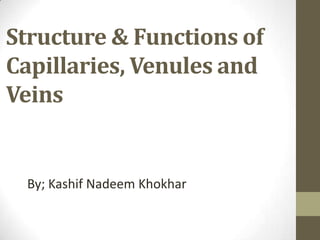 Structure & Functions of
Capillaries, Venules and
Veins

By; Kashif Nadeem Khokhar

 