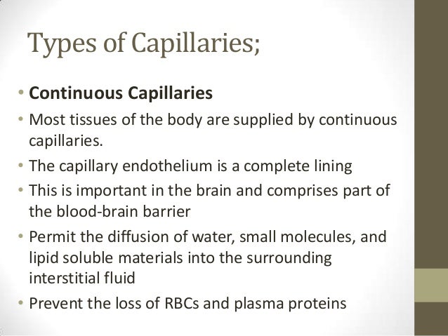 14.structure &amp; functions of capillaries, venules and veins