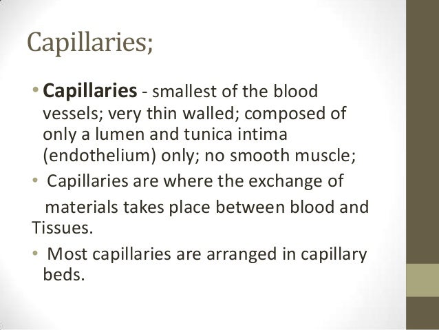 14.structure & functions of capillaries, venules and veins