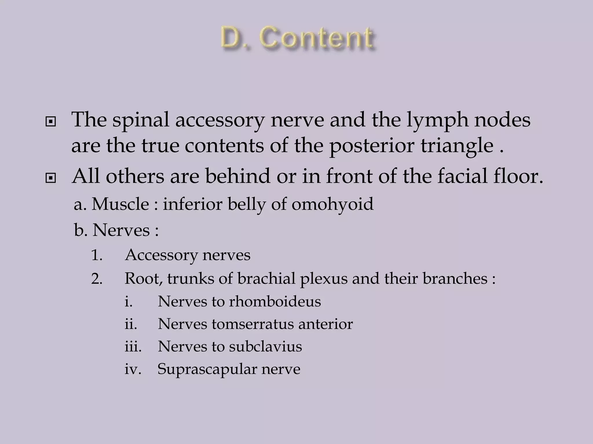 



The spinal accessory nerve and the lymph nodes
are the true contents of the posterior triangle .
All others are behind or in front of the facial floor.
a. Muscle : inferior belly of omohyoid
b. Nerves :
1.
2.

Accessory nerves
Root, trunks of brachial plexus and their branches :
i.
ii.
iii.
iv.

Nerves to rhomboideus
Nerves tomserratus anterior
Nerves to subclavius
Suprascapular nerve

 