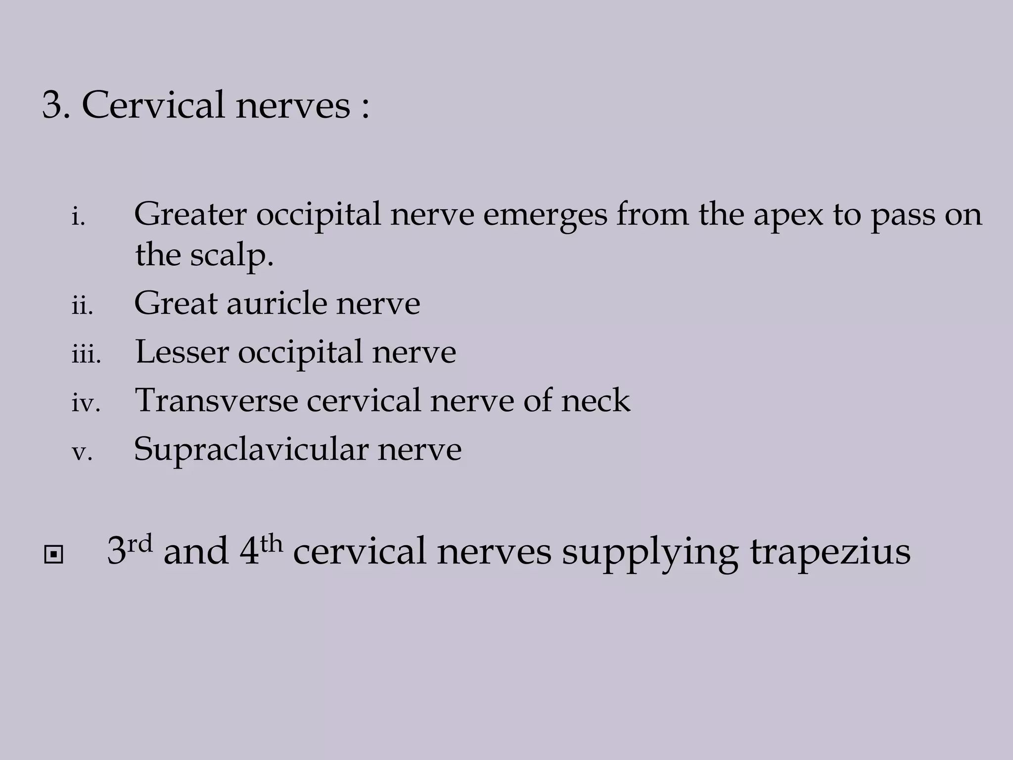 3. Cervical nerves :
i.
ii.
iii.
iv.

v.



Greater occipital nerve emerges from the apex to pass on
the scalp.
Great auricle nerve
Lesser occipital nerve
Transverse cervical nerve of neck
Supraclavicular nerve

3rd and 4th cervical nerves supplying trapezius

 