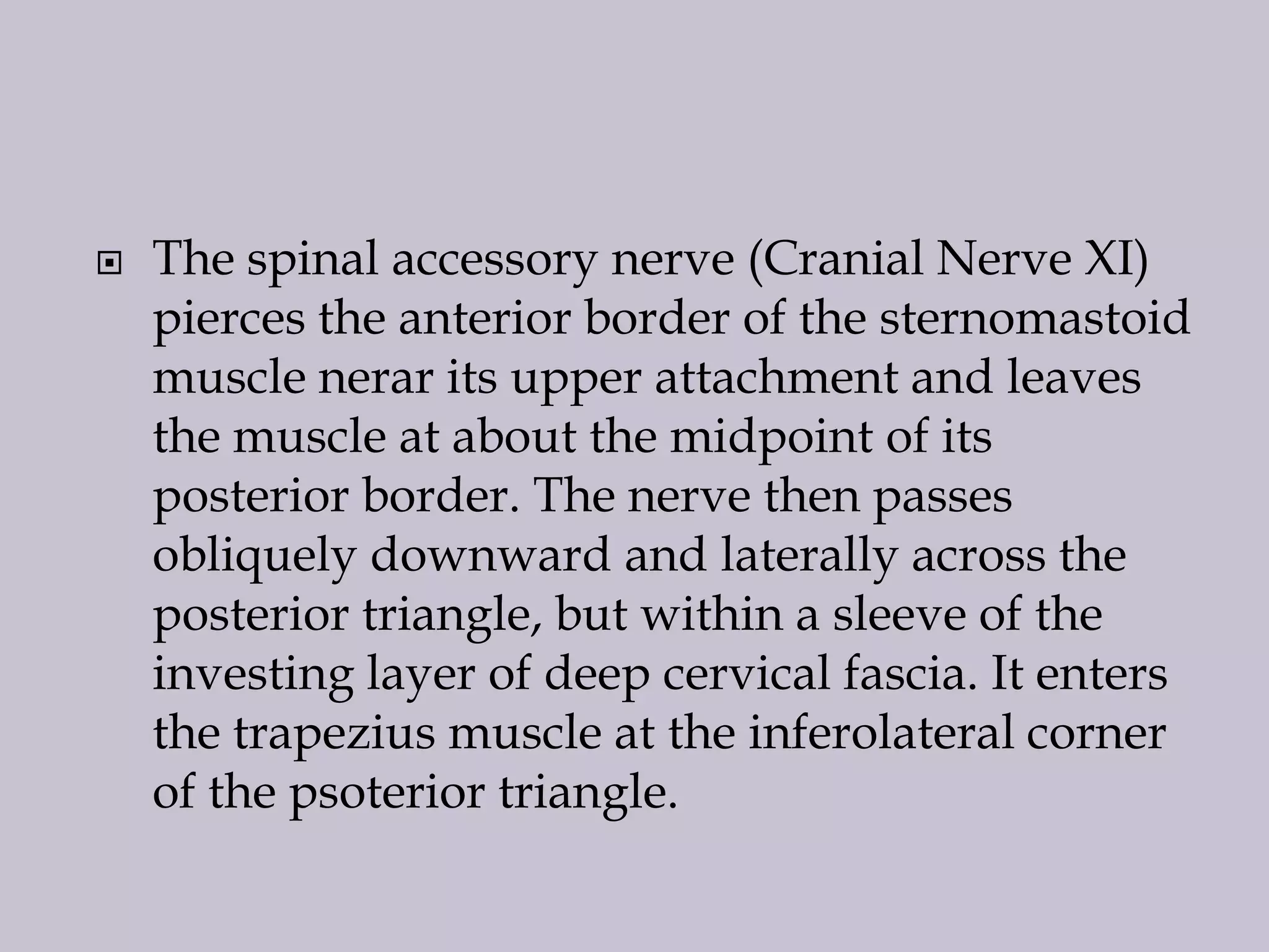 

The spinal accessory nerve (Cranial Nerve XI)
pierces the anterior border of the sternomastoid
muscle nerar its upper attachment and leaves
the muscle at about the midpoint of its
posterior border. The nerve then passes
obliquely downward and laterally across the
posterior triangle, but within a sleeve of the
investing layer of deep cervical fascia. It enters
the trapezius muscle at the inferolateral corner
of the psoterior triangle.

 