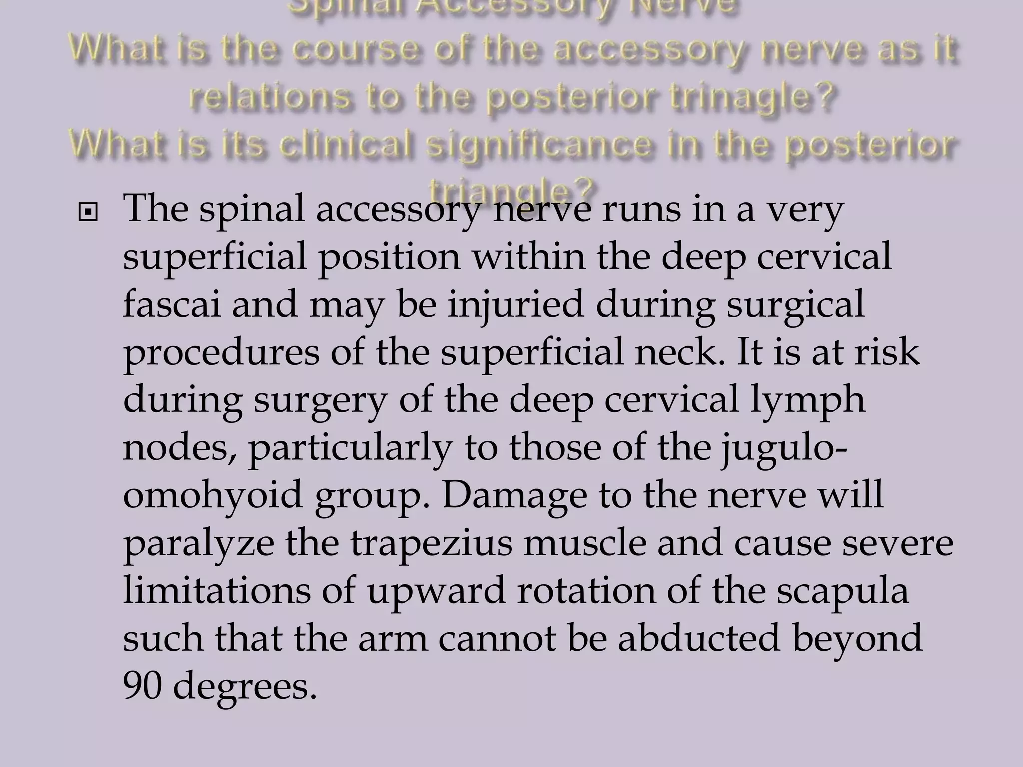 

The spinal accessory nerve runs in a very
superficial position within the deep cervical
fascai and may be injuried during surgical
procedures of the superficial neck. It is at risk
during surgery of the deep cervical lymph
nodes, particularly to those of the juguloomohyoid group. Damage to the nerve will
paralyze the trapezius muscle and cause severe
limitations of upward rotation of the scapula
such that the arm cannot be abducted beyond
90 degrees.

 