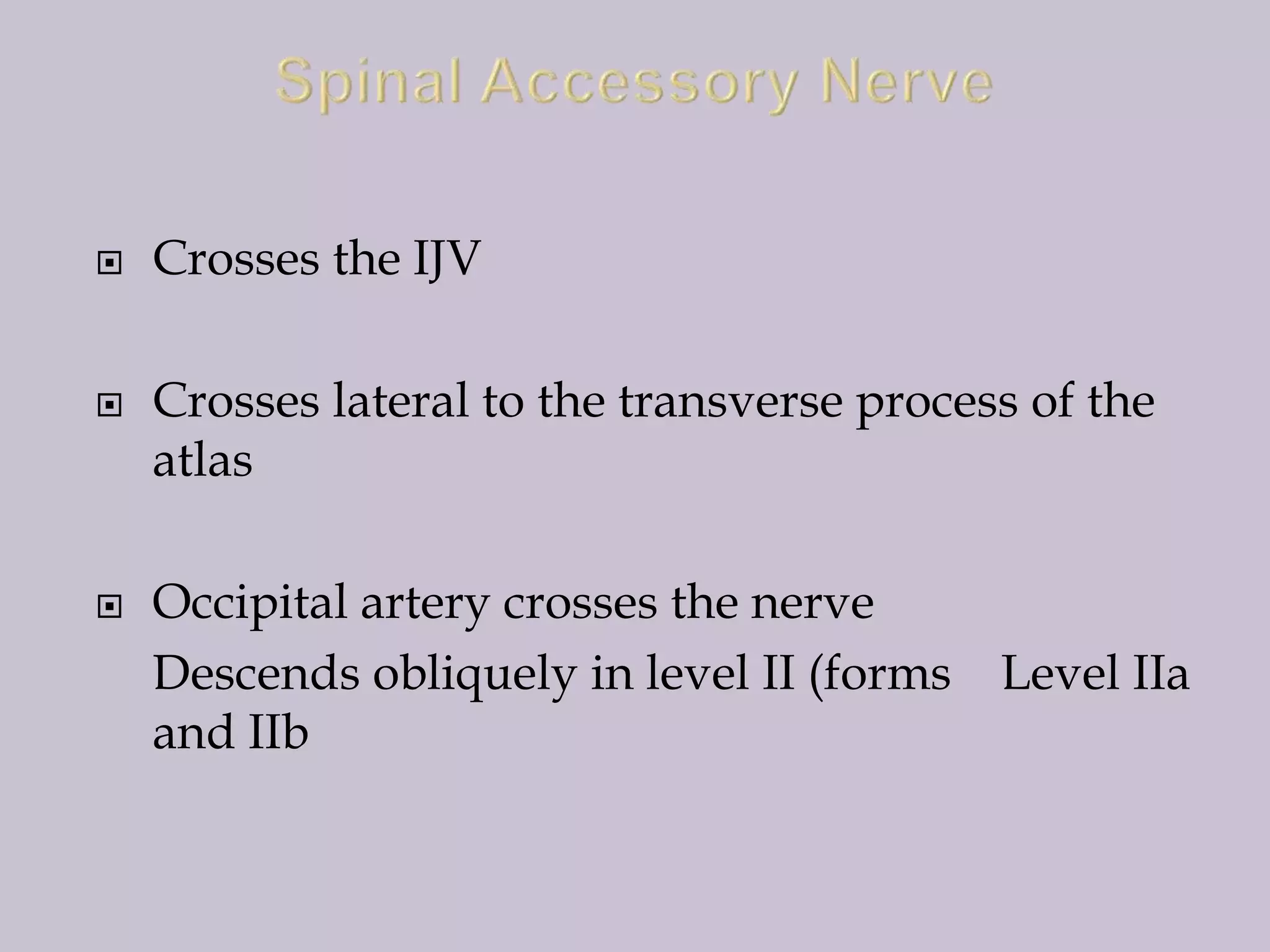 





Crosses the IJV
Crosses lateral to the transverse process of the
atlas
Occipital artery crosses the nerve
Descends obliquely in level II (forms
and IIb

Level IIa

 