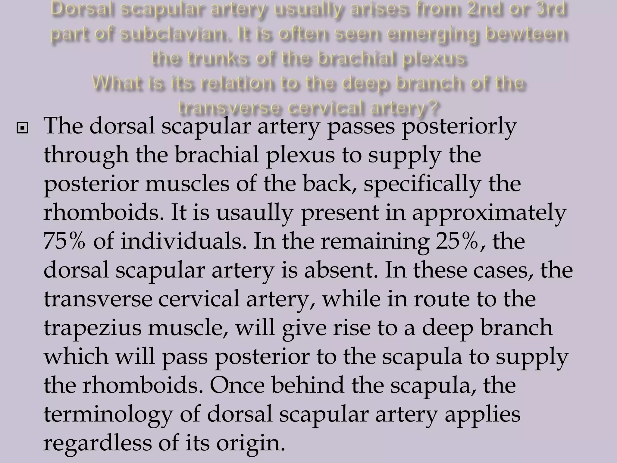

The dorsal scapular artery passes posteriorly
through the brachial plexus to supply the
posterior muscles of the back, specifically the
rhomboids. It is usaully present in approximately
75% of individuals. In the remaining 25%, the
dorsal scapular artery is absent. In these cases, the
transverse cervical artery, while in route to the
trapezius muscle, will give rise to a deep branch
which will pass posterior to the scapula to supply
the rhomboids. Once behind the scapula, the
terminology of dorsal scapular artery applies
regardless of its origin.

 