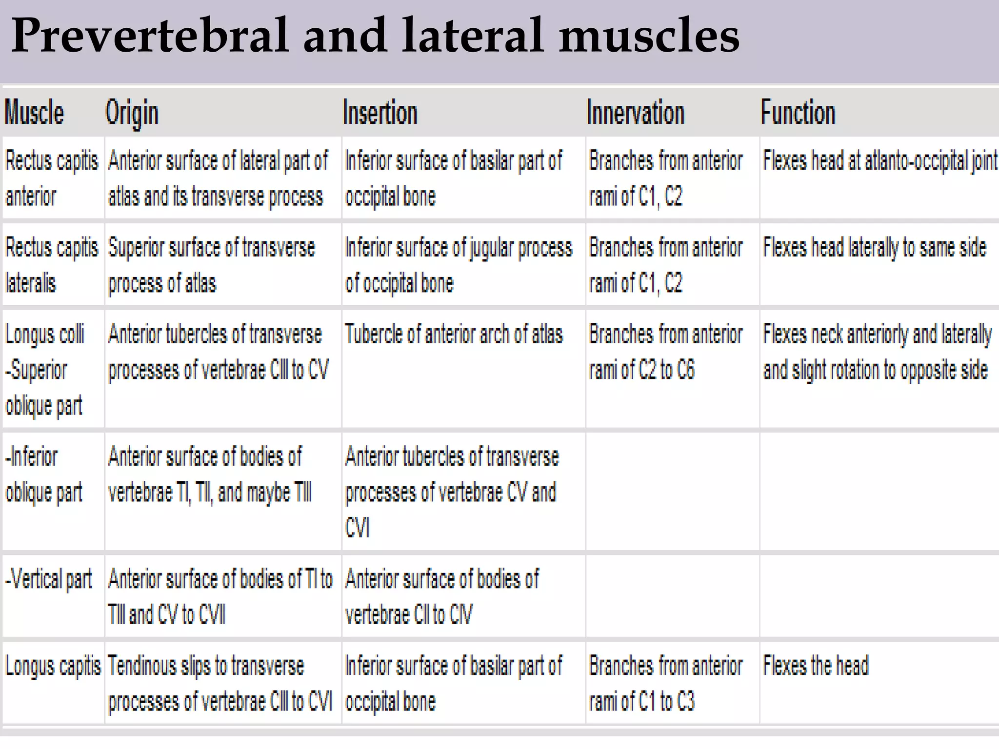 Prevertebral and lateral muscles

 