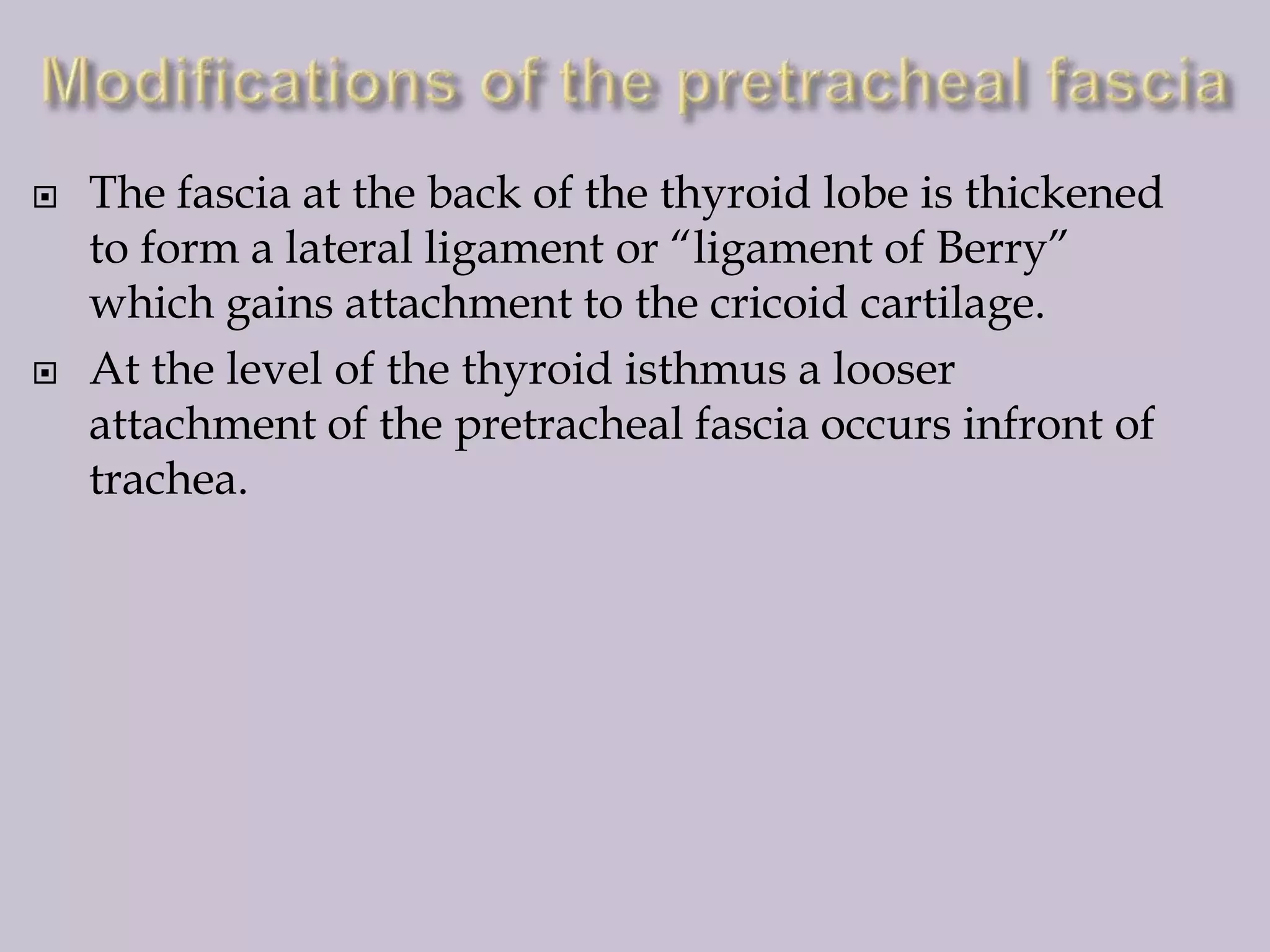 



The fascia at the back of the thyroid lobe is thickened
to form a lateral ligament or “ligament of Berry”
which gains attachment to the cricoid cartilage.
At the level of the thyroid isthmus a looser
attachment of the pretracheal fascia occurs infront of
trachea.

 