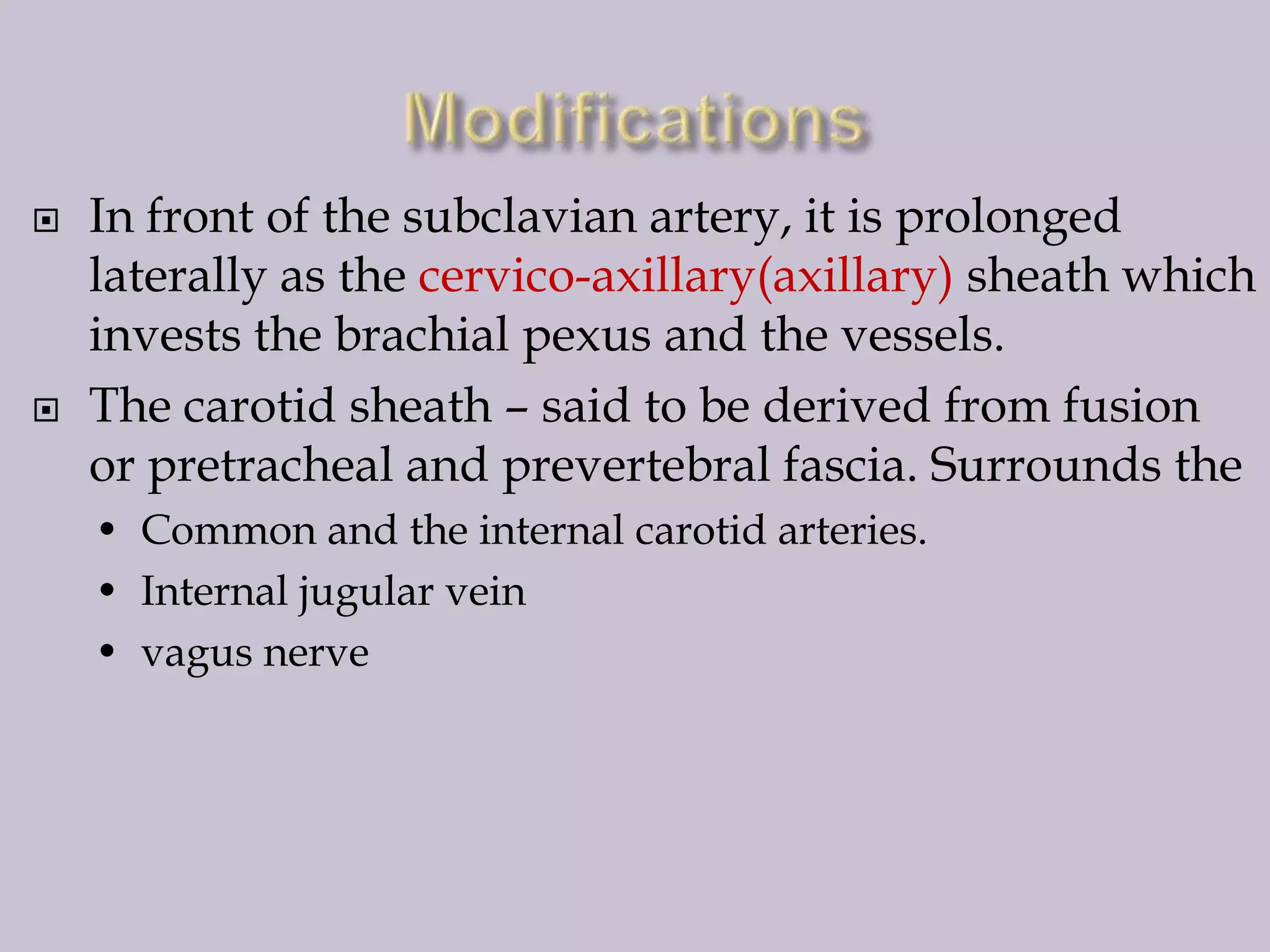 



In front of the subclavian artery, it is prolonged
laterally as the cervico-axillary(axillary) sheath which
invests the brachial pexus and the vessels.
The carotid sheath – said to be derived from fusion
or pretracheal and prevertebral fascia. Surrounds the
• Common and the internal carotid arteries.
• Internal jugular vein
• vagus nerve

 