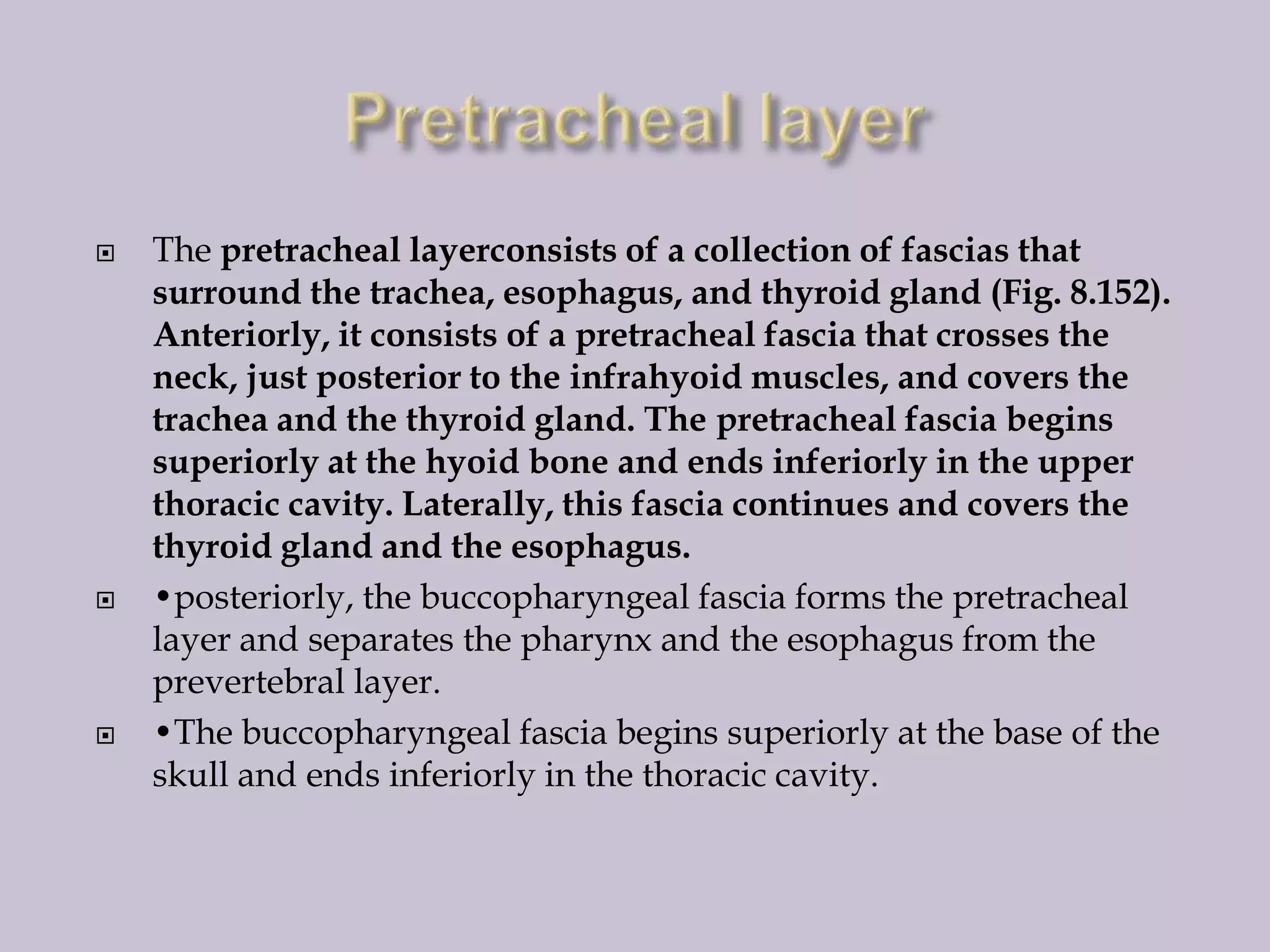 





The pretracheal layerconsists of a collection of fascias that
surround the trachea, esophagus, and thyroid gland (Fig. 8.152).
Anteriorly, it consists of a pretracheal fascia that crosses the
neck, just posterior to the infrahyoid muscles, and covers the
trachea and the thyroid gland. The pretracheal fascia begins
superiorly at the hyoid bone and ends inferiorly in the upper
thoracic cavity. Laterally, this fascia continues and covers the
thyroid gland and the esophagus.
•posteriorly, the buccopharyngeal fascia forms the pretracheal
layer and separates the pharynx and the esophagus from the
prevertebral layer.
•The buccopharyngeal fascia begins superiorly at the base of the
skull and ends inferiorly in the thoracic cavity.

 