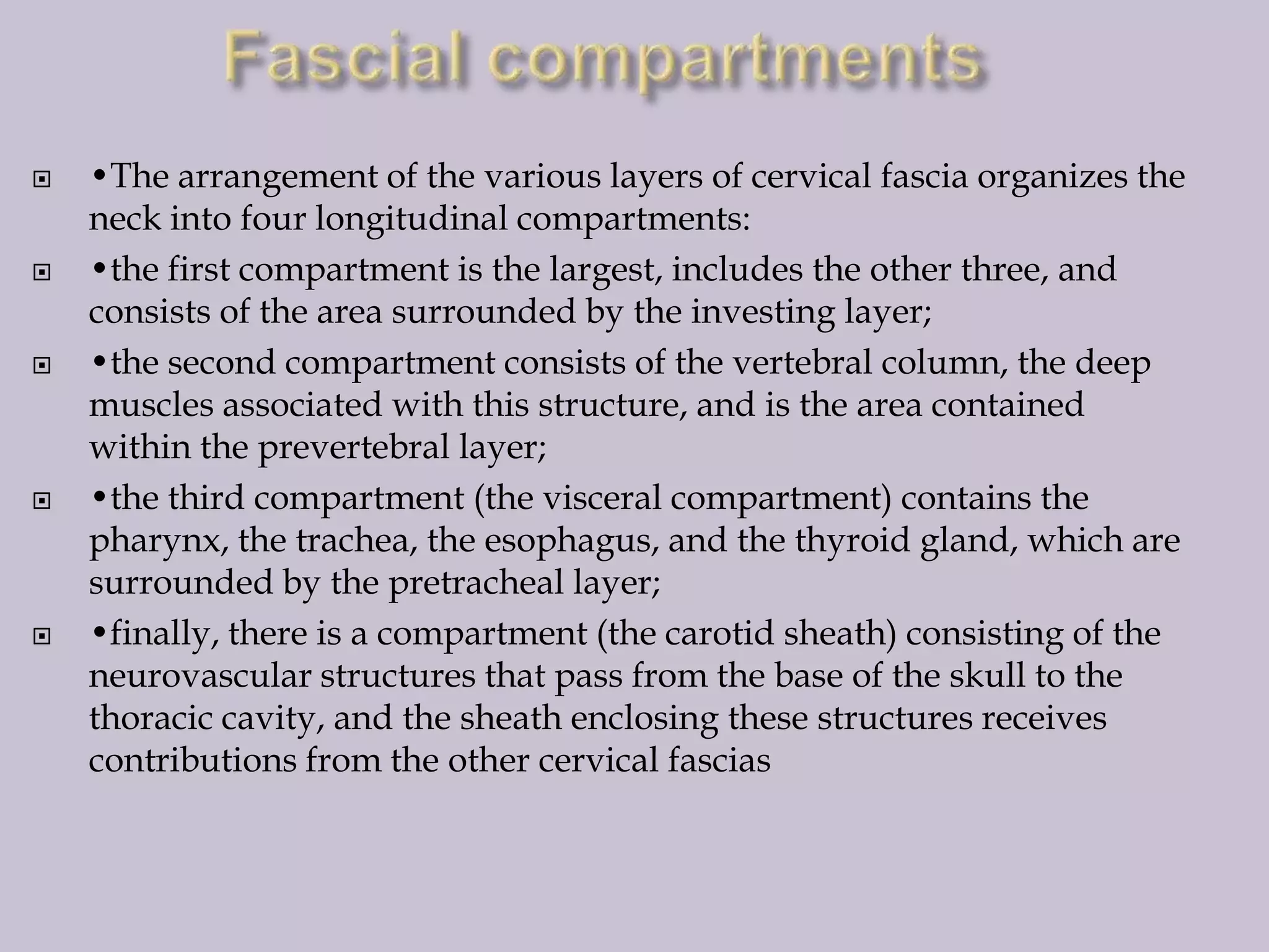









•The arrangement of the various layers of cervical fascia organizes the
neck into four longitudinal compartments:
•the first compartment is the largest, includes the other three, and
consists of the area surrounded by the investing layer;
•the second compartment consists of the vertebral column, the deep
muscles associated with this structure, and is the area contained
within the prevertebral layer;
•the third compartment (the visceral compartment) contains the
pharynx, the trachea, the esophagus, and the thyroid gland, which are
surrounded by the pretracheal layer;
•finally, there is a compartment (the carotid sheath) consisting of the
neurovascular structures that pass from the base of the skull to the
thoracic cavity, and the sheath enclosing these structures receives
contributions from the other cervical fascias

 