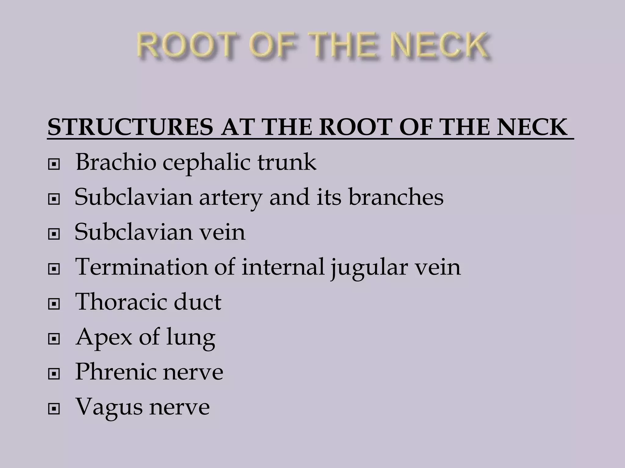 STRUCTURES AT THE ROOT OF THE NECK
 Brachio cephalic trunk
 Subclavian artery and its branches
 Subclavian vein
 Termination of internal jugular vein
 Thoracic duct
 Apex of lung
 Phrenic nerve
 Vagus nerve

 