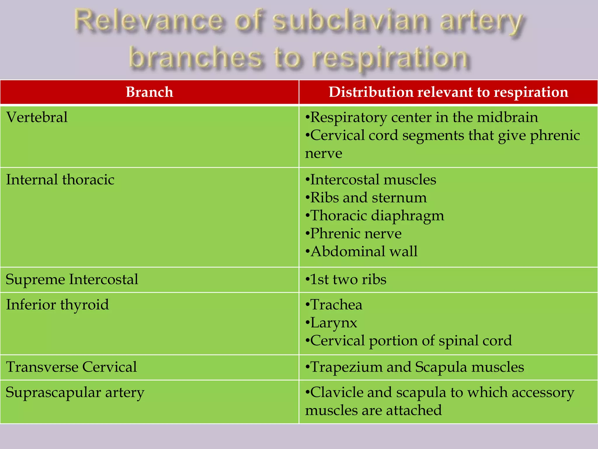Branch

Distribution relevant to respiration

Vertebral

•Respiratory center in the midbrain
•Cervical cord segments that give phrenic
nerve

Internal thoracic

•Intercostal muscles
•Ribs and sternum
•Thoracic diaphragm
•Phrenic nerve
•Abdominal wall

Supreme Intercostal

•1st two ribs

Inferior thyroid

•Trachea
•Larynx
•Cervical portion of spinal cord

Transverse Cervical

•Trapezium and Scapula muscles

Suprascapular artery

•Clavicle and scapula to which accessory
muscles are attached

 