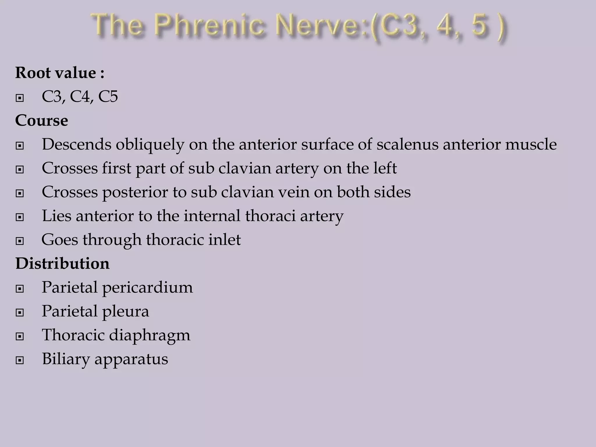 Root value :

C3, C4, C5
Course

Descends obliquely on the anterior surface of scalenus anterior muscle

Crosses first part of sub clavian artery on the left

Crosses posterior to sub clavian vein on both sides

Lies anterior to the internal thoraci artery

Goes through thoracic inlet
Distribution

Parietal pericardium

Parietal pleura

Thoracic diaphragm

Biliary apparatus

 