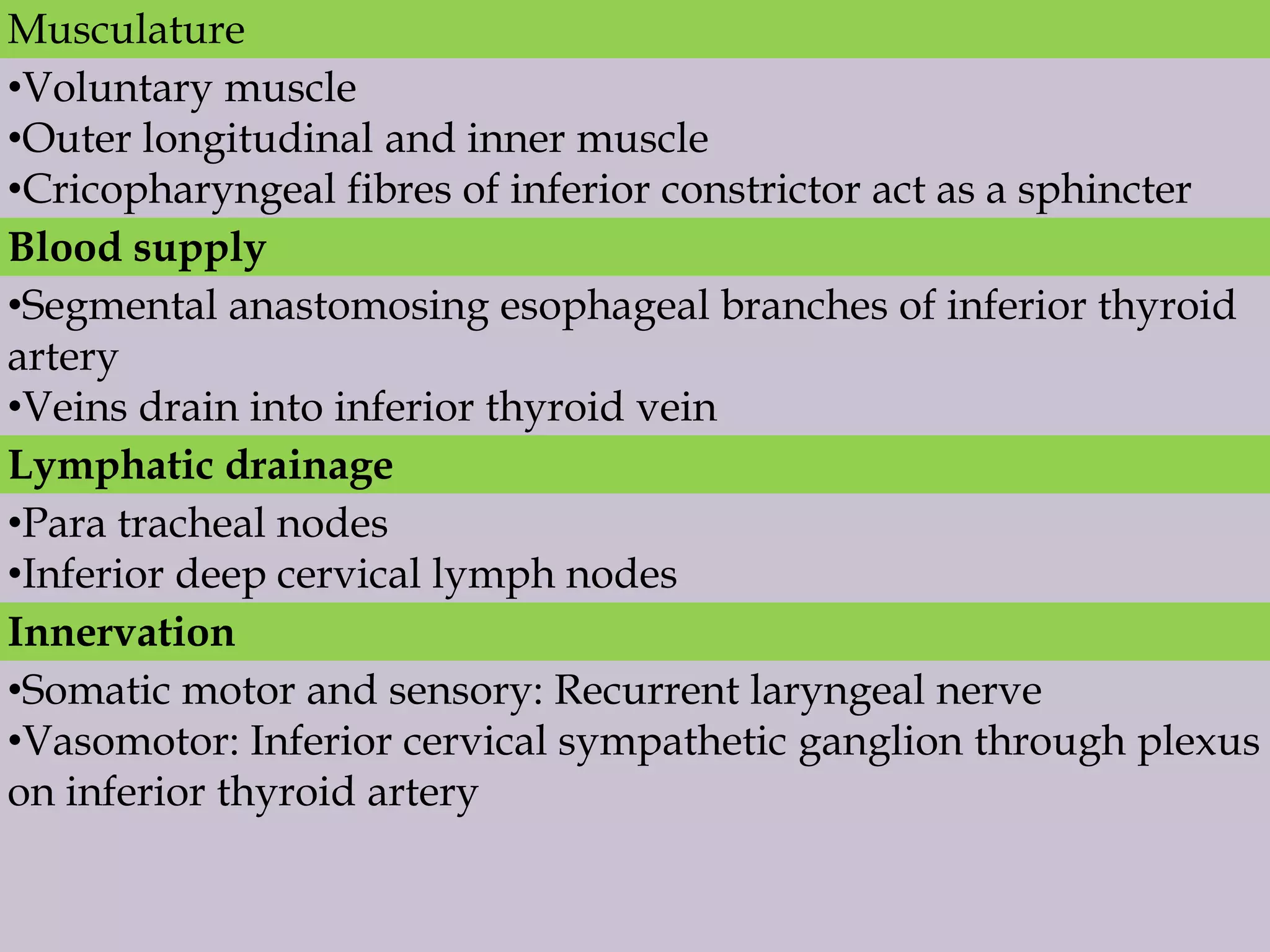 Musculature
•Voluntary muscle
•Outer longitudinal and inner muscle
•Cricopharyngeal fibres of inferior constrictor act as a sphincter
Blood supply
•Segmental anastomosing esophageal branches of inferior thyroid
artery
•Veins drain into inferior thyroid vein
Lymphatic drainage
•Para tracheal nodes
•Inferior deep cervical lymph nodes
Innervation
•Somatic motor and sensory: Recurrent laryngeal nerve
•Vasomotor: Inferior cervical sympathetic ganglion through plexus
on inferior thyroid artery

 
