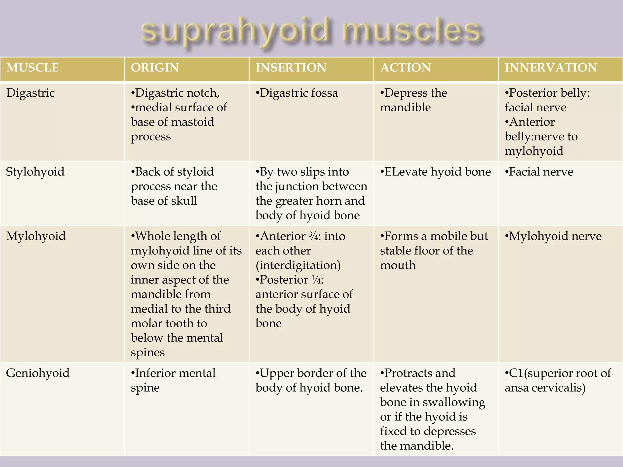 MUSCLE

ORIGIN

INSERTION

ACTION

INNERVATION

Digastric

•Digastric notch,
•medial surface of
base of mastoid
process

•Digastric fossa

•Depress the
mandible

•Posterior belly:
facial nerve
•Anterior
belly:nerve to
mylohyoid

Stylohyoid

•Back of styloid
process near the
base of skull

•By two slips into
the junction between
the greater horn and
body of hyoid bone

•ELevate hyoid bone

•Facial nerve

Mylohyoid

•Whole length of
mylohyoid line of its
own side on the
inner aspect of the
mandible from
medial to the third
molar tooth to
below the mental
spines

•Anterior ¾: into
each other
(interdigitation)
•Posterior ¼:
anterior surface of
the body of hyoid
bone

•Forms a mobile but
stable floor of the
mouth

•Mylohyoid nerve

Geniohyoid

•Inferior mental
spine

•Upper border of the
body of hyoid bone.

•Protracts and
elevates the hyoid
bone in swallowing
or if the hyoid is
fixed to depresses
the mandible.

•C1(superior root of
ansa cervicalis)

 
