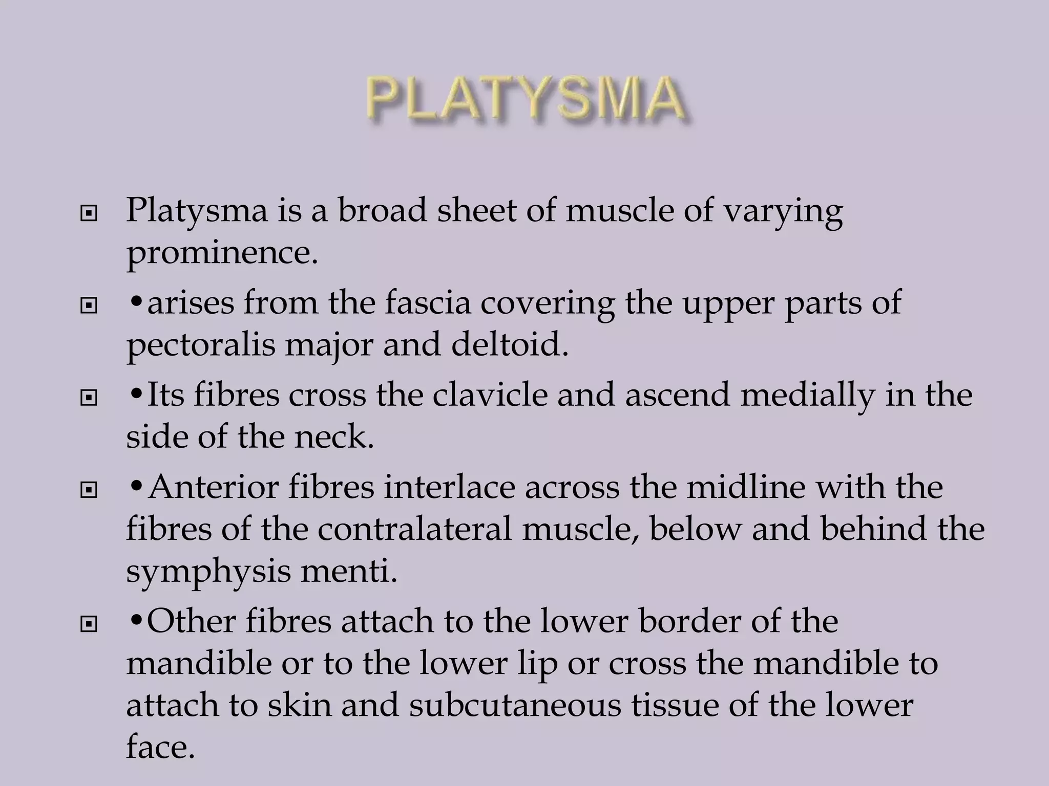 









Platysma is a broad sheet of muscle of varying
prominence.
•arises from the fascia covering the upper parts of
pectoralis major and deltoid.
•Its fibres cross the clavicle and ascend medially in the
side of the neck.
•Anterior fibres interlace across the midline with the
fibres of the contralateral muscle, below and behind the
symphysis menti.
•Other fibres attach to the lower border of the
mandible or to the lower lip or cross the mandible to
attach to skin and subcutaneous tissue of the lower
face.

 